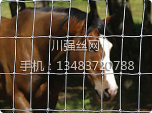 �B(y��ng)ֳ�o�ھW(w��ng)