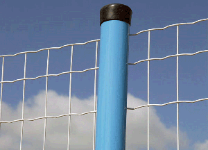 ��·���o�W(w��ng)�İl(f��)չ�΄��cڅ�ݽ�B��